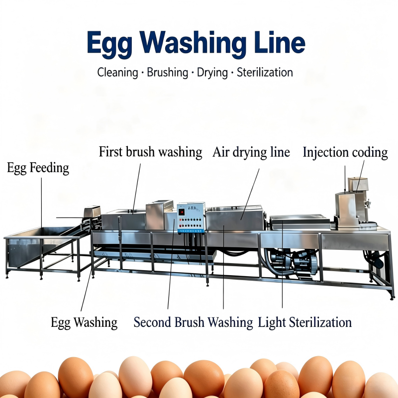خط إنتاج معدات غسل وتصنيف وتعب - مراجعة Heavy Equipment Washing وسعره